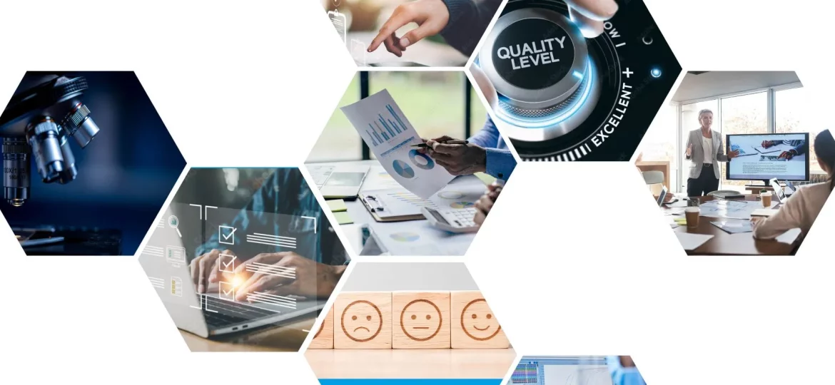 Website-EA-MLA-Report-2022-1