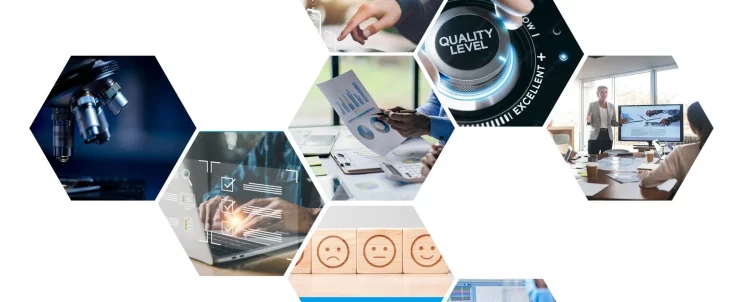 Website-EA-MLA-Report-2022-1