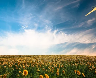 ea-annual-report-cover-accreditation-sustainability-