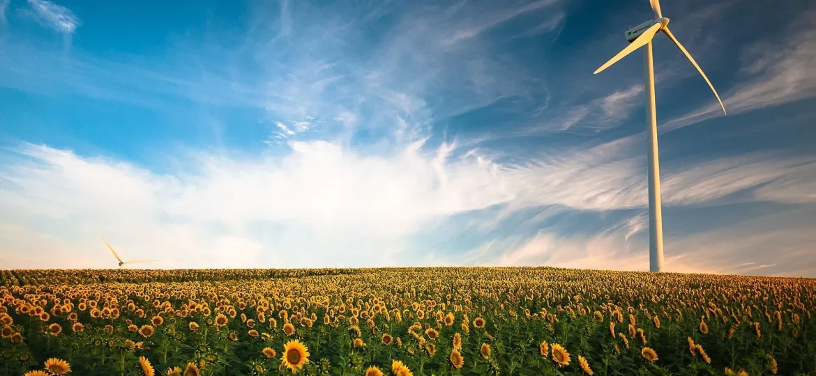 ea-annual-report-cover-accreditation-sustainability-