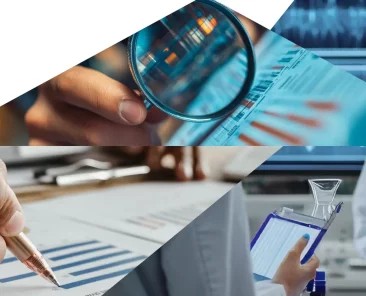 EA-MLA-report-2024-cover-website